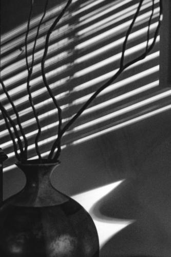 A Vase in Shadow
